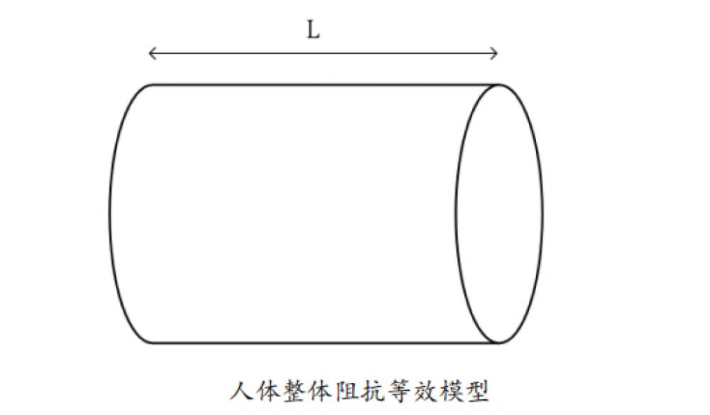 体脂的？数据准确吗？一起来了解CQ9电子网站体脂秤是怎么测出(图3)