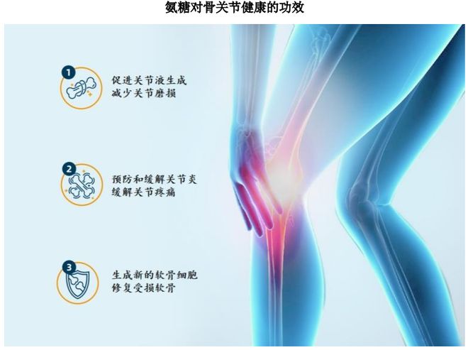 ：扎根运动健康赛道凭多元布局赢长远未来C