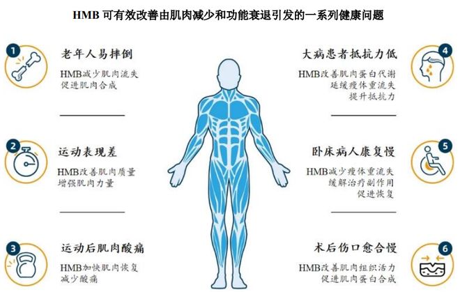 ：扎根运动健康赛道凭多元布局赢长远未来CQ9电子appHMB全球龙头技源集团(图8)